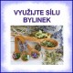 Využijte SÍLU BYLINEK ke svému PŘIVÝDĚLKU!