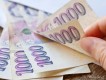 PROFESSIONAL LOAN